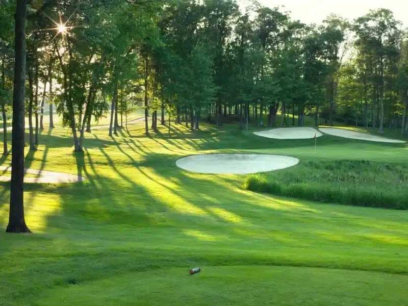 golf-green-with-filtered-sunlight-and-shadows-2026-03-16-02-37-09-utc