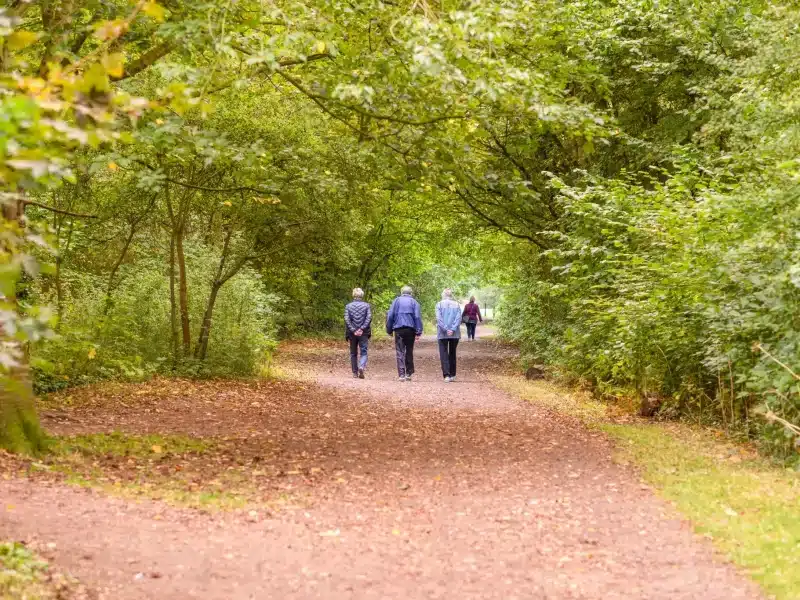 people-walking-on-leaf-lined-pathway-in-a-country-2026-01-07-00-07-39-utc